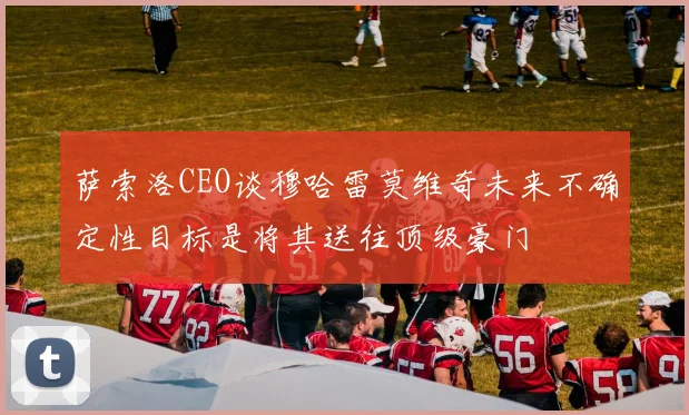 萨索洛CEO谈穆哈雷莫维奇未来不确定性目标是将其送往顶级豪门