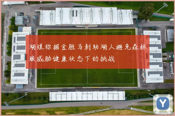 湖媒称掘金胜马刺助湖人避免森林狼威胁健康状态下的挑战